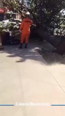 Árvore cai por cima de homem em Ceilândia
