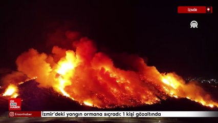 İzmir'deki yangın ormana sıçradı: 1 kişi gözaltında