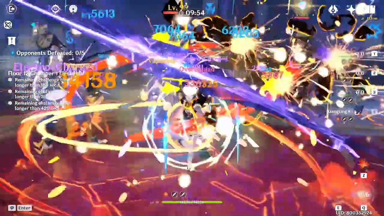 C0 Raiden Shogun National Team