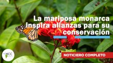 La mariposa monarca inspira alianzas para su conservación | 773 | 30 de junio al 06 de julio de 2025