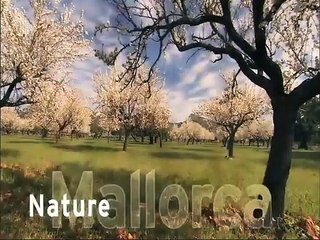Descubre Mallorca: La Isla de Sueños y Maravillas Naturales