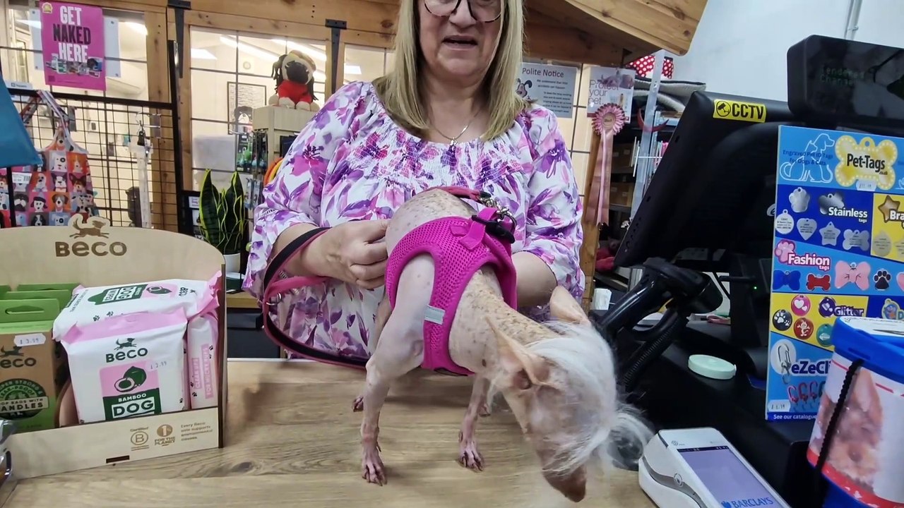 Meet Mia- the Netflix and Vogue star from Peterborough!
