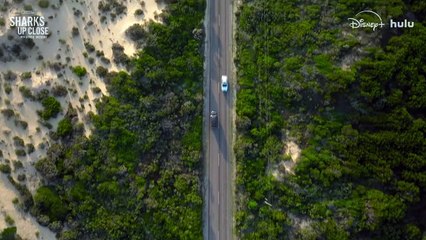 Sharks Up Close with Bertie Gregory | movie | 2025 | Official Trailer