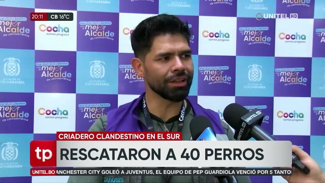 Desnutridos y con parásitos, así se encontraban los 40 perros rescatados de un criadero clandestino
