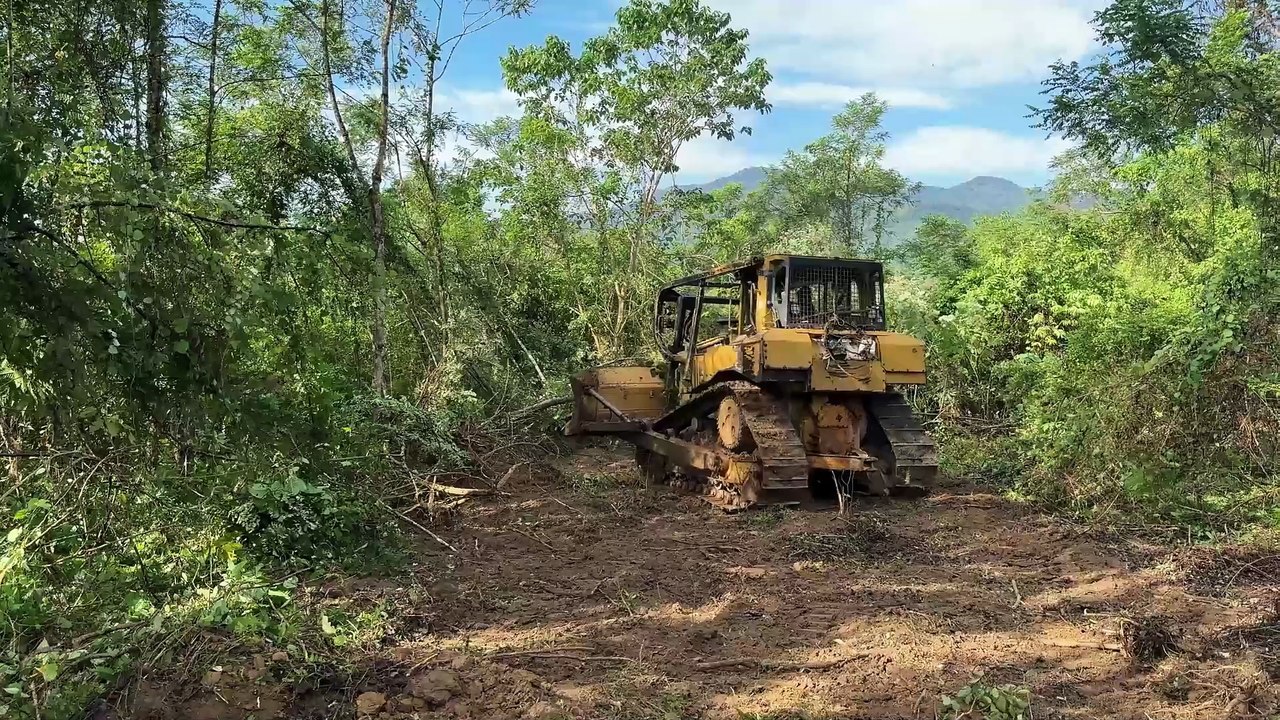 The Advantages of the D6R XL Bulldozer in Clearing Forests