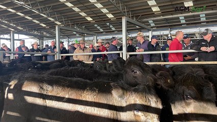 Naracoorte store sale - June 2025