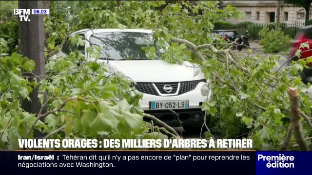 Après les violents orages, l'heure est désormais au ramassage des milliers d'arbres qui sont tombés