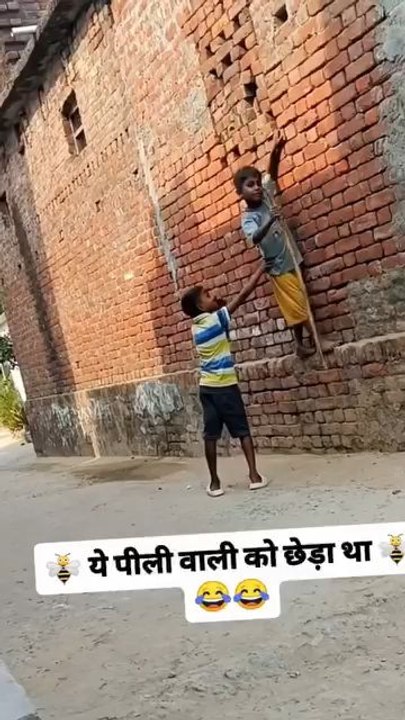 everyday new video