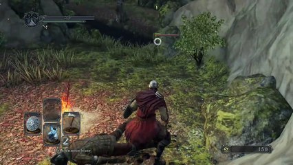 Dark Souls II: Scholar of the First Sin online multiplayer - ps3