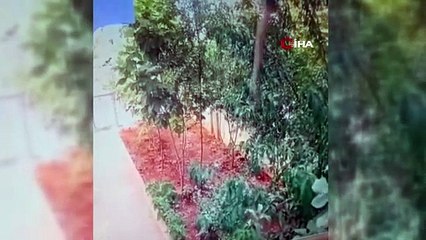 Hamile genç kadın 3. kattan düşerek hayatını kaybetti!