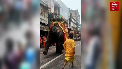 અમદાવાદ જગન્નાથજીની રથયાત્રા : બે ગજરાજ બન્યા બેકાબૂ, ભક્તોમાં મચી નાસભાગ