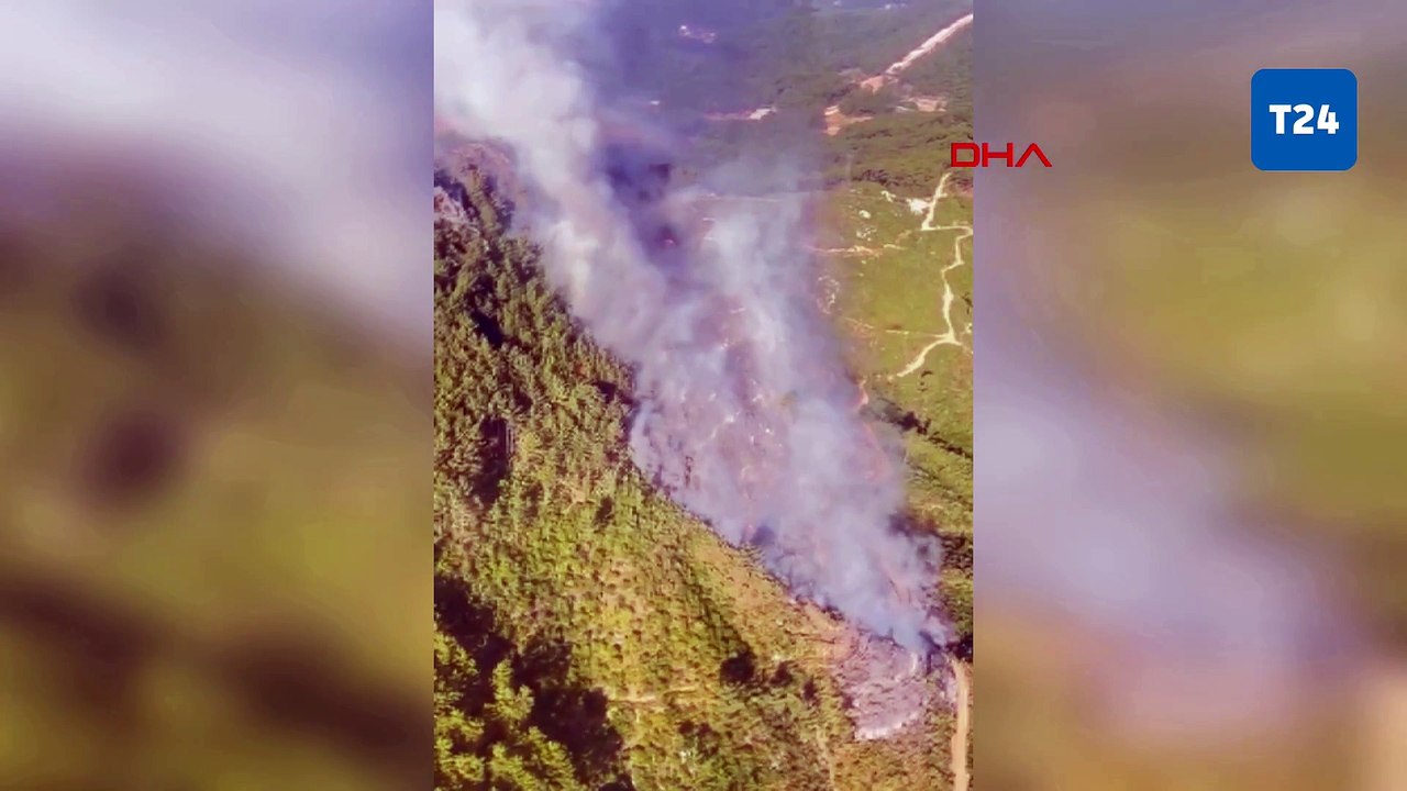 Antalya'da iki bölgede orman yangını; havadan ve karadan müdahale ediliyor!