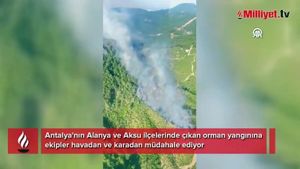 Antalya'da iki farklı ilçede orman yangını