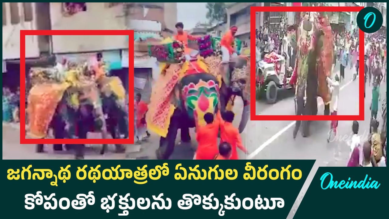 జగన్నాథ రథయాత్రలో అపశృతి , పరుగులు పెట్టిన ఏనుగులు  | Jagannath Rath Yatra 2025 | Gujarat
