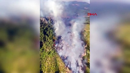 Antalya'da iki ilçede orman yangını