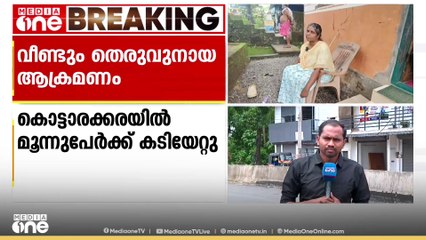 കൊല്ലം കൊട്ടാരക്കരയിൽ മുന്നൂപേർക്ക് തെരുവുനായയുടെ കടിയേറ്റു | stray dog attack kollam