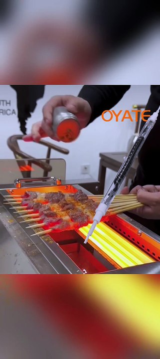 Household appliance housings: spray drying, thermoforming of plastic parts