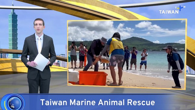 Two Rehabilitated Olive Ridley Sea Turtles Returned to Ocean