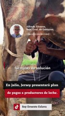 En julio, Jersey presentará plan de pagos a productores de leche.