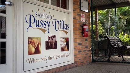 Australian pet owners paying more on upkeep costs when they travel