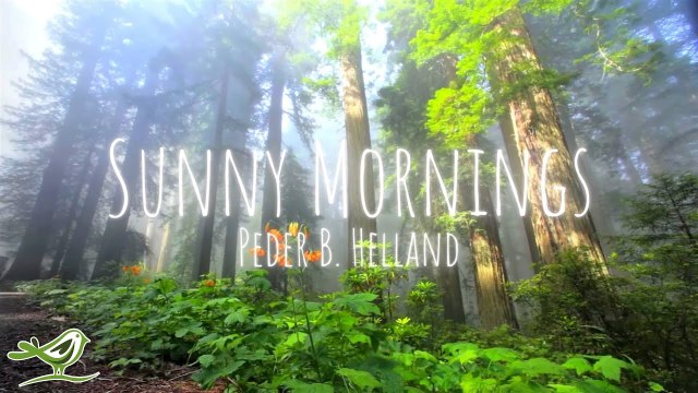 Sunny Mornings- Beautiful Relaxing Music with Piano, Guitar & Bird Sounds by Peder B. Helland