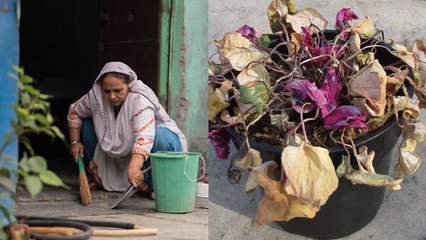 Sawan 2025: सावन शुरू होने के पहले घर से बाहर निकाल दें ये चीजें, घर से दूर होगी आर्थिक तंगी