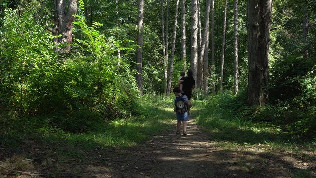 “They Raised You, But Now They Won’t Let You Raise Your Kids Setting Boundaries With Overstepping Elders”