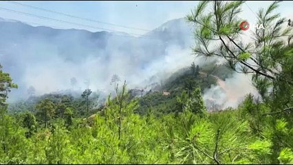 Alanya’daki yangınını kontrol altına alınması çalışmaları devam ediyor