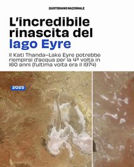 "Il Miracolo del Lago Kati Thanda: Un'Esplosione di Vita nel Deserto Australiano"