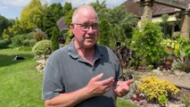 West Midlands: John Massey's garden oasis