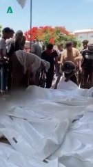 Gaza Civilian Casualties and the Struggle for Aid Access