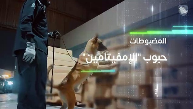 الزكاة والضريبة والجمارك تحبط تهريب أكثر من 732 ألف حبة إمفيتامين بميناء جدة