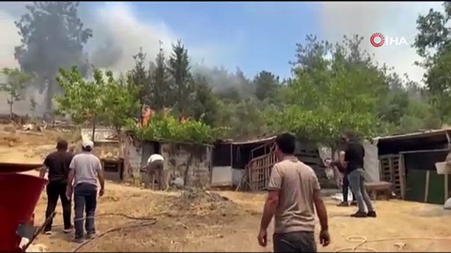 Bursa’da orman yangını köydeki evlere sıçradı... Mahalleli gözyaşları içinde tahliye edildi