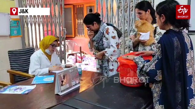 Cats Heal Hearts: Kashmir's Love For Felines, Challenging Norms