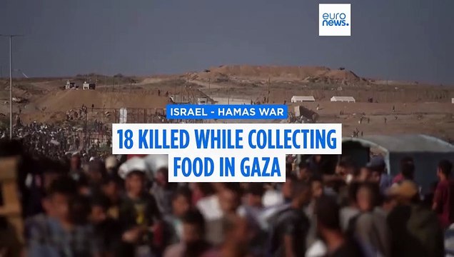 At least 18 dead in Gaza after Israeli strike hits street during food collection, hospitals say