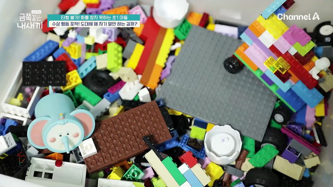 갑자기 심술과 함께 시작된 금쪽이의 고집! 상황을 보지 않고 자기 할 말만 하는 금쪽이