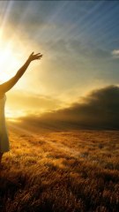 Algo Novo Kemuel shorts