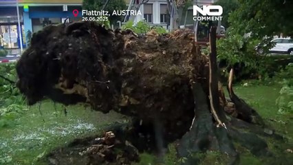 Austria: storms and hail damage crops, derail train, and disrupt festival