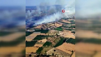 Edremit Çıkrıkçı Ovası Alevlere Teslim Oldu