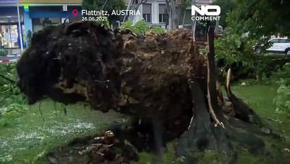 طوفان و تگرگ در اتریش؛ قطار از ریل خارج شد و درختان از ریشه درآمدند