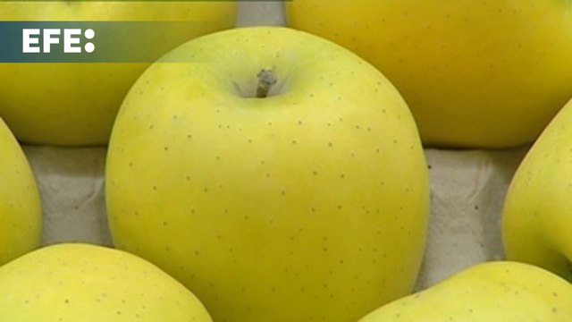 Carburantes y alimentos elevan la inflación al 2,2 % en junio