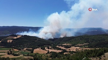 Önce Bursa şimdi de Sakarya... Alevlerin yaklaştığı 2 mahalle boşaltıldı