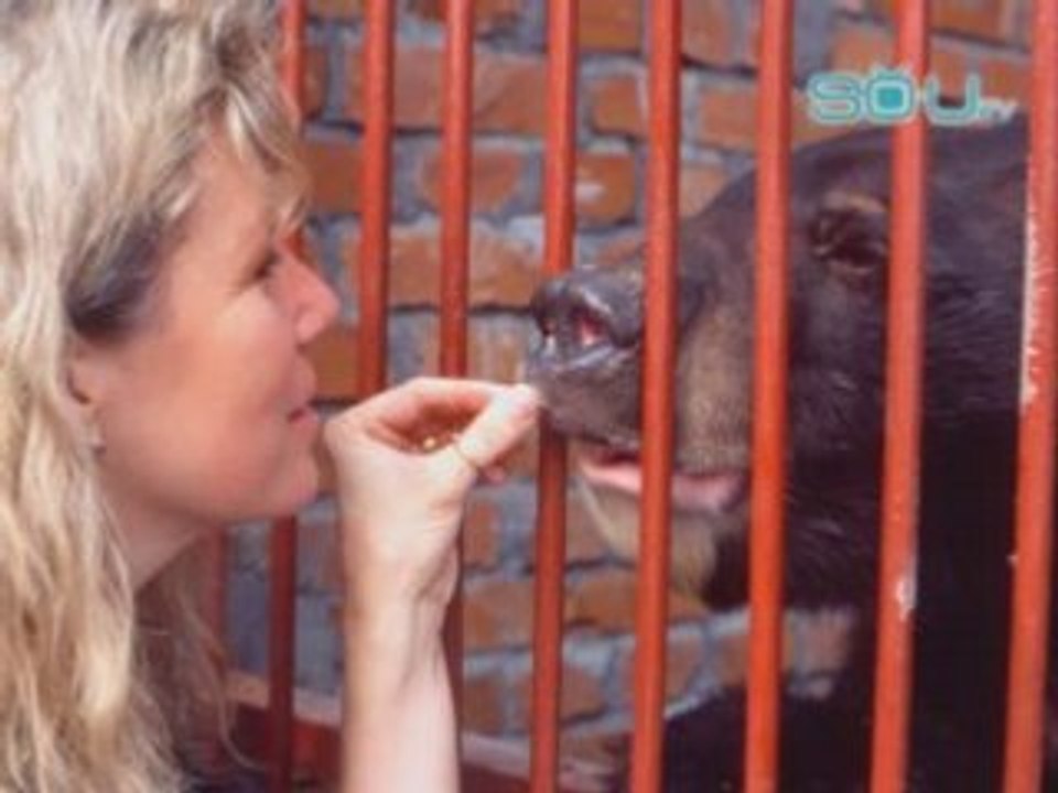 The Moon Bear Story