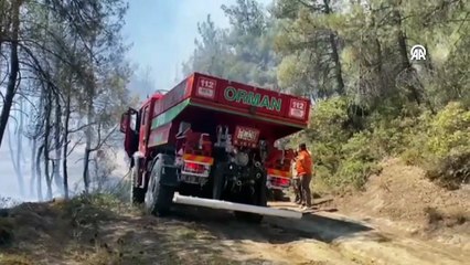 Sakarya’da orman yangını; 2 mahallede tahliye kararı!
