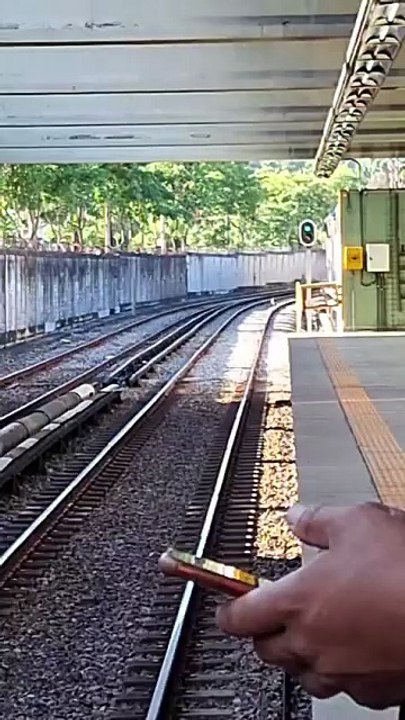 Cachorro invade trilhos e interrompe circulação de trens no Metrô