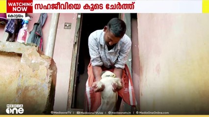 ഉപേക്ഷിക്കപ്പെട്ട വളർത്തു നായ്ക്ക് സംരക്ഷണം ഒരുക്കി യുവാവ്