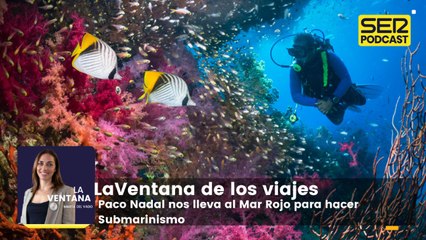 Viajes | Paco Nadal nos cuenta la experiencia de hacer submarinismo en el Mar Rojo