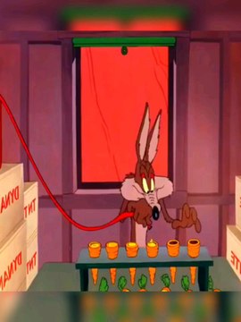 #funny #cartoon #sun8 #sun8ms #sn2sg #sun8pop #bugsbunny #chase #coyote #roadrunner #letmechaseyou #sunnight #sunnightmusic #sun8blues #sunnightpop #sunnightblues #run #rabbit #2d #animation #animated #comedy #humor #humour #ohio #delulu #texas