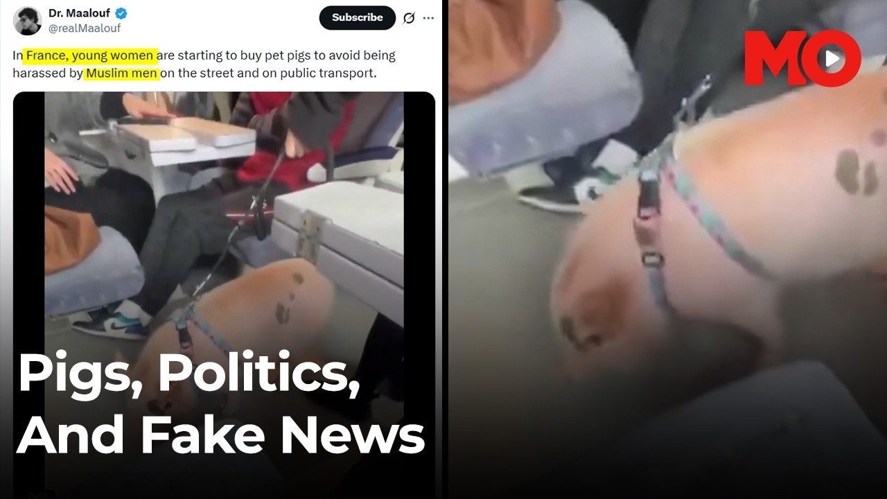 Are women in Europe really using pigs to avoid Muslim men?