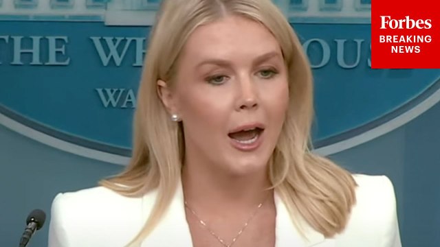 Karoline Leavitt Blasts DEI And Claims Trump Is Seeking A 'Merit-Based' U.S.
